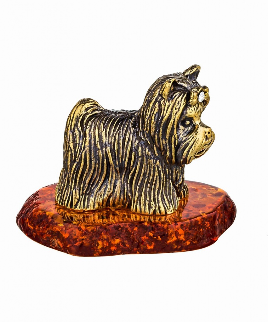 картинка Собака Йорк-Бивер 750 от магазина El Corazon