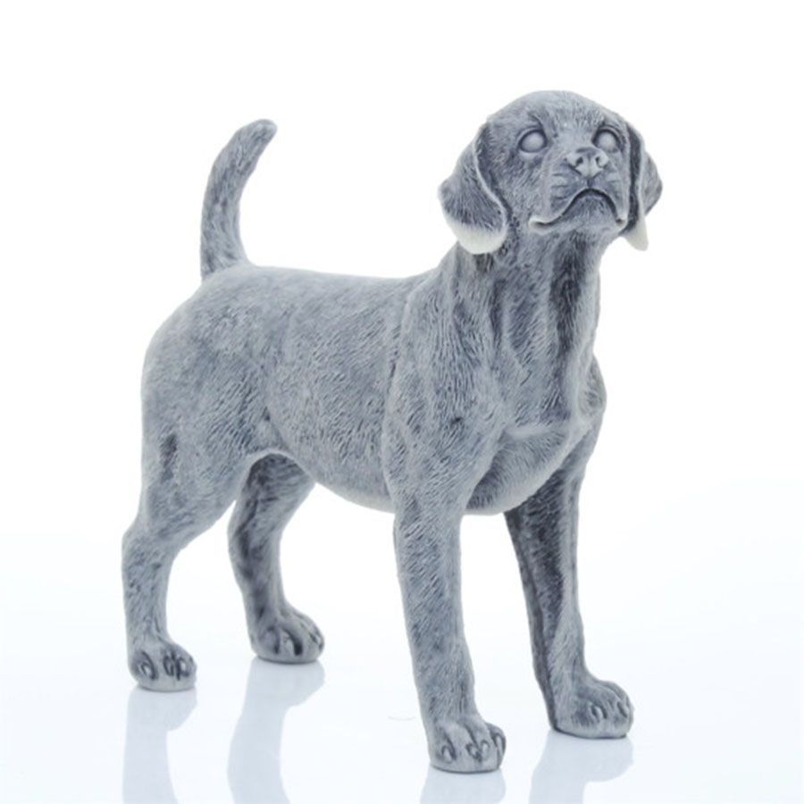 картинка Лабрадор (средний) R-s6 от магазина El Corazon