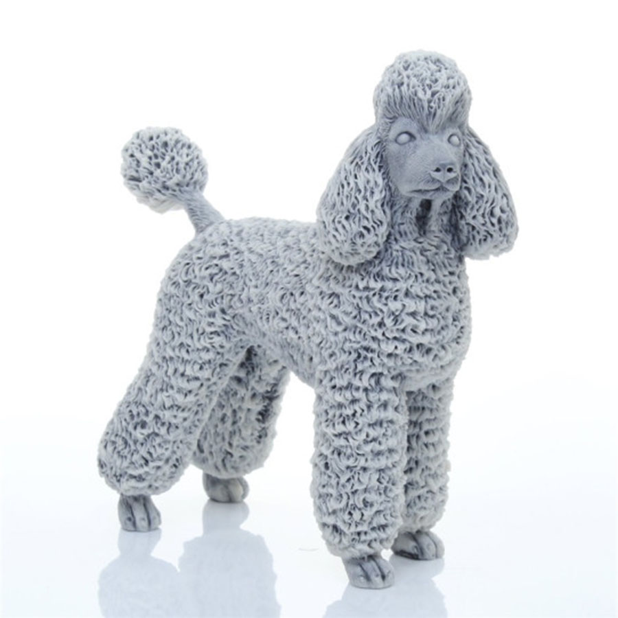 картинка Королевский пудель (средний) R-s47 от магазина El Corazon