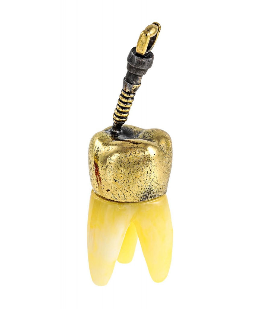 картинка Зуб 2331-Б, белый от магазина El Corazon