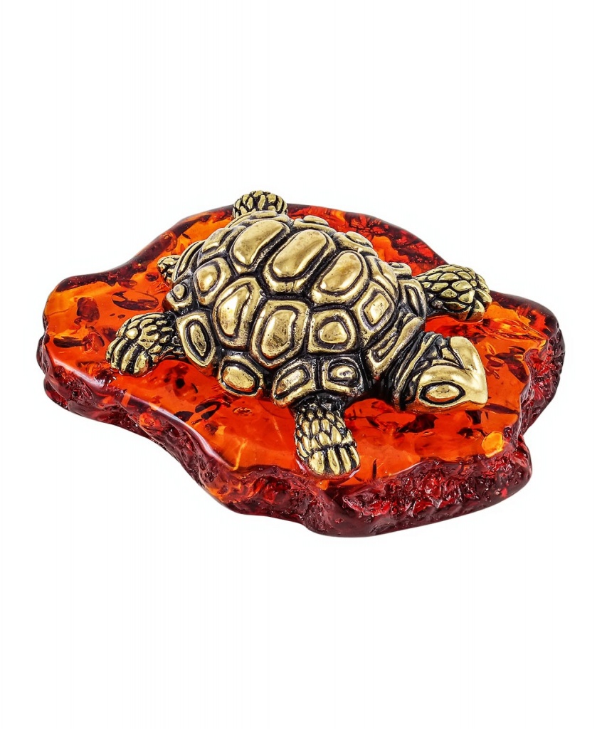 картинка Черепашка Семен 2011 от магазина El Corazon