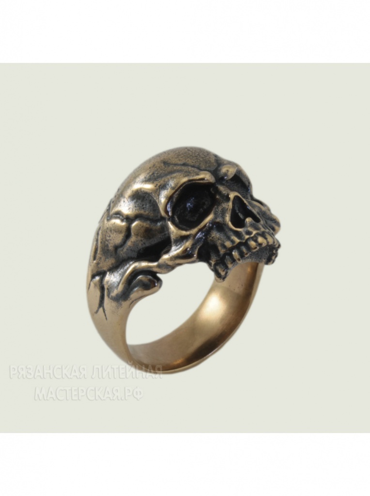 картинка Кольцо с черепом РЗ-К05918БР от магазина El Corazon